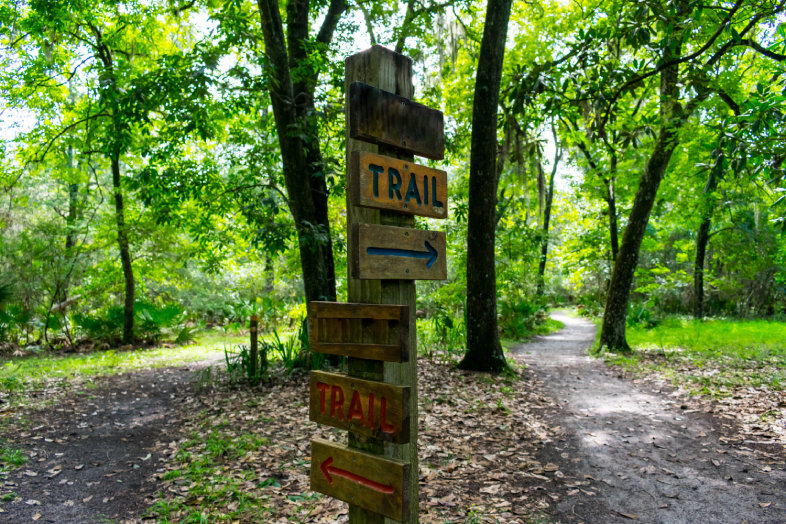 Fun Hiking Trails in Bela Bela