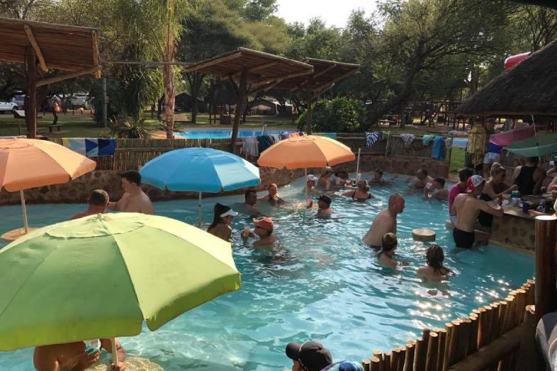 Dive into a Bela Bela Pool