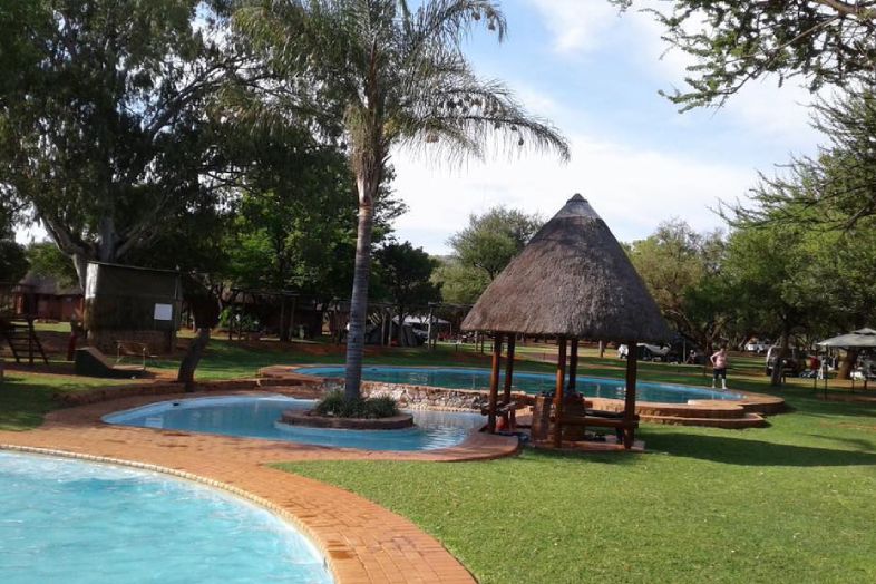 Why Choose Mbizi Lodge for Your Holiday