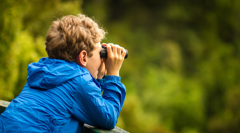 Bird Watching