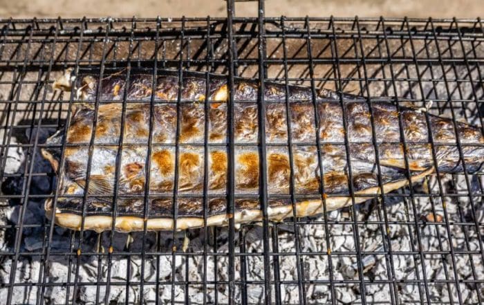 history of snoek, snoek dishes, seasoning snoek, braai snoek