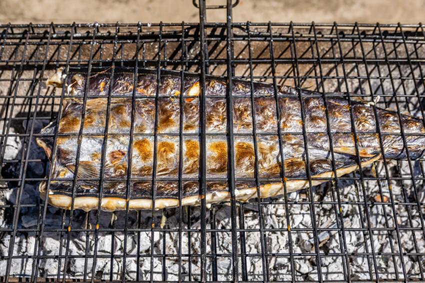 history of snoek, snoek dishes, seasoning snoek, braai snoek