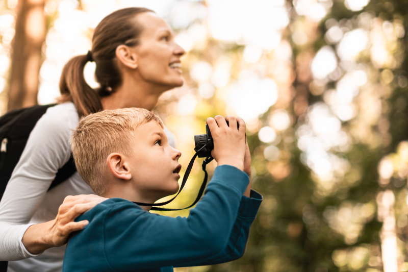 what you need for bird watching