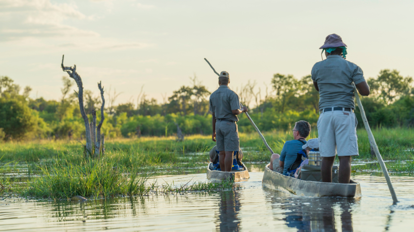 more than just a luxury stay; - Nature Wellness Safaris